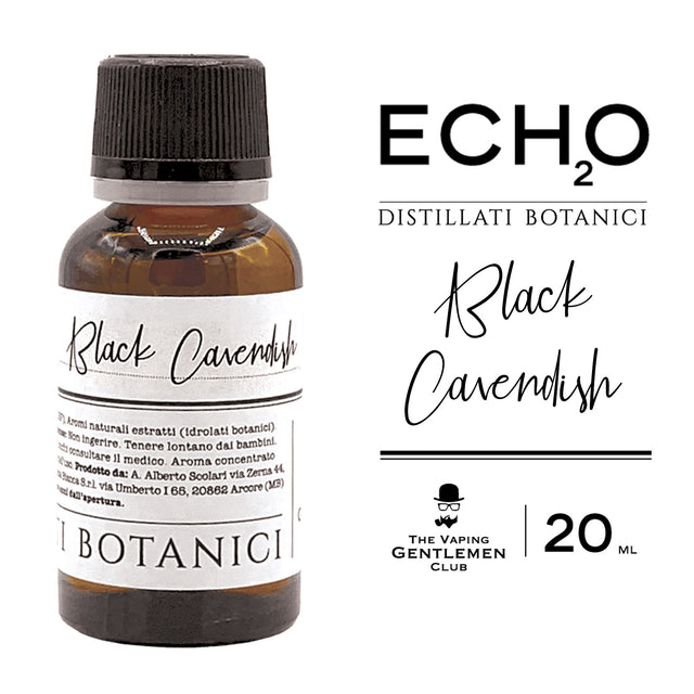 ECHO - Black Cavendish